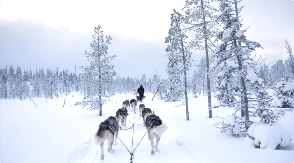 ¿Cuáles son las opciones de vehículos más populares en Kuusamo?
